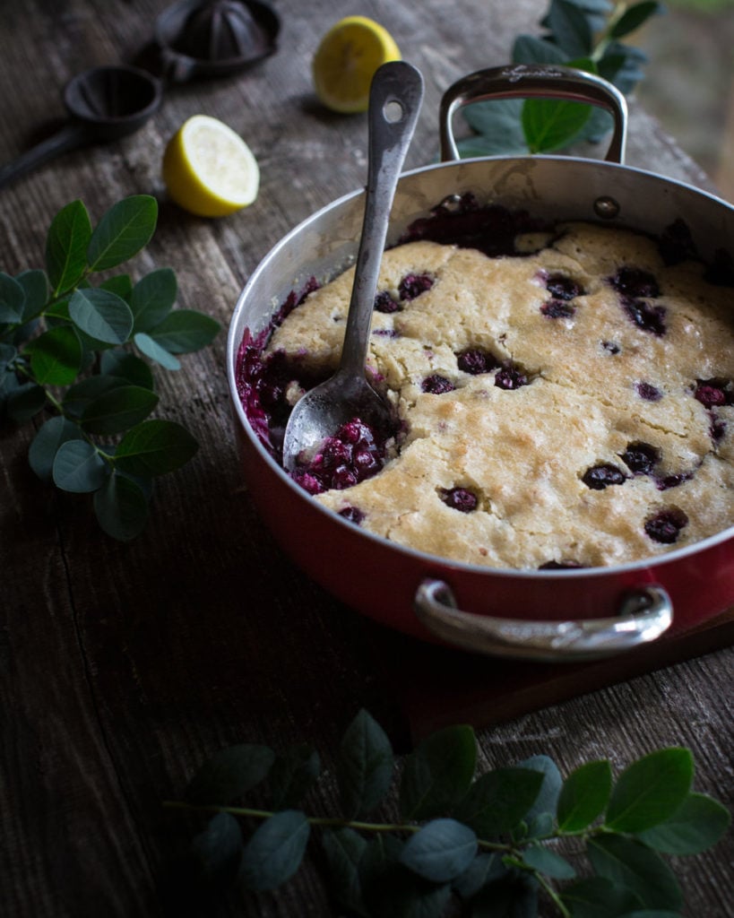 A moist blueberry cobbler with a thin crispy topping. 