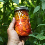 pickled roasted peppers