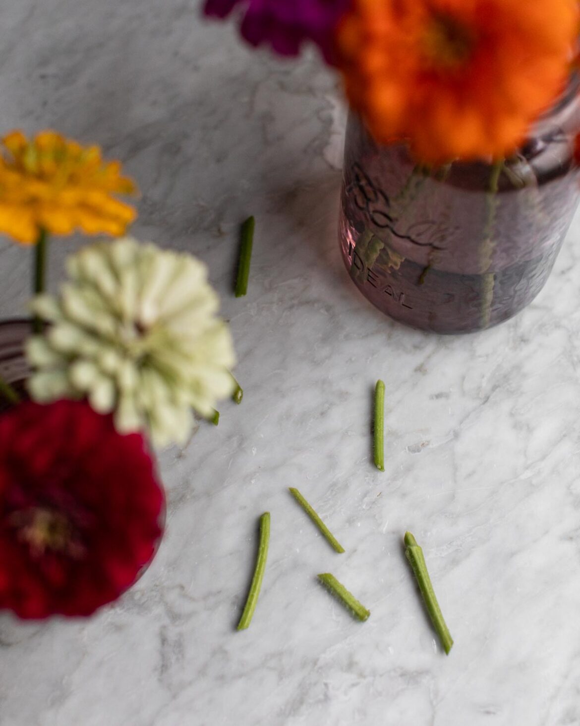 How to Cut & Arrange Zinnias Mississippi Vegan