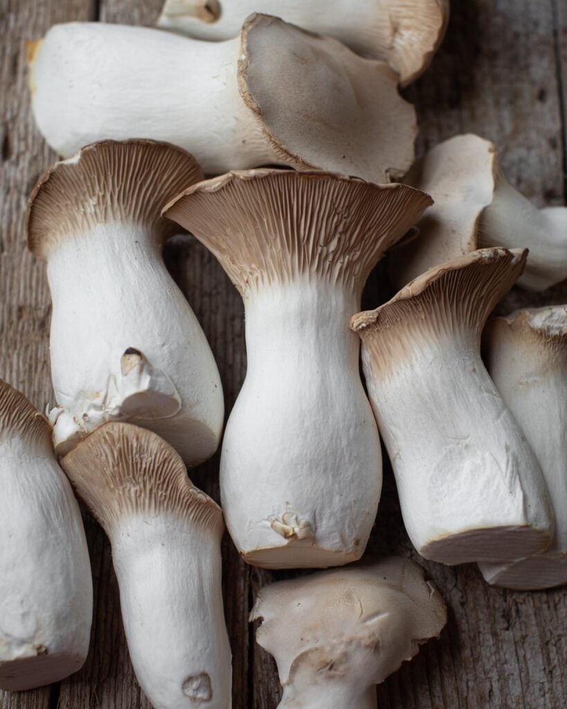 Trumpet mushrooms
