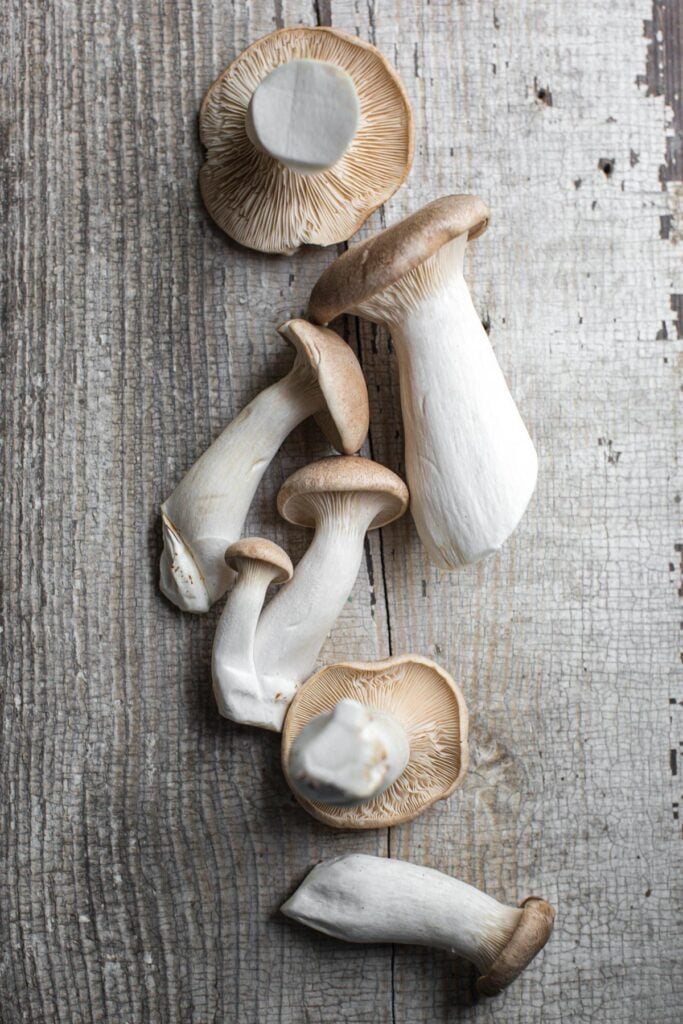 trumpet mushrooms