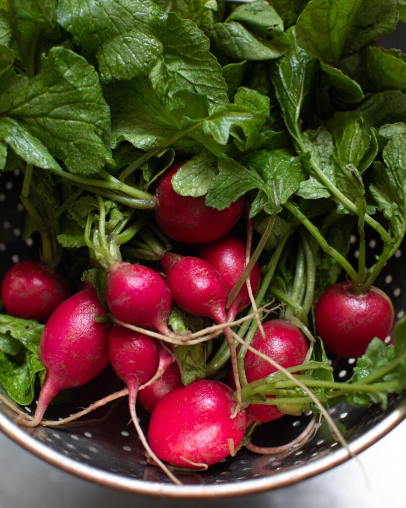 Radishes and greens