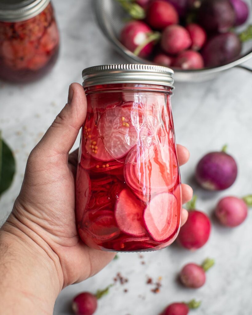 Hand holding a glass jar filled with sweet pickled radishes surrounded by raw radishes. 