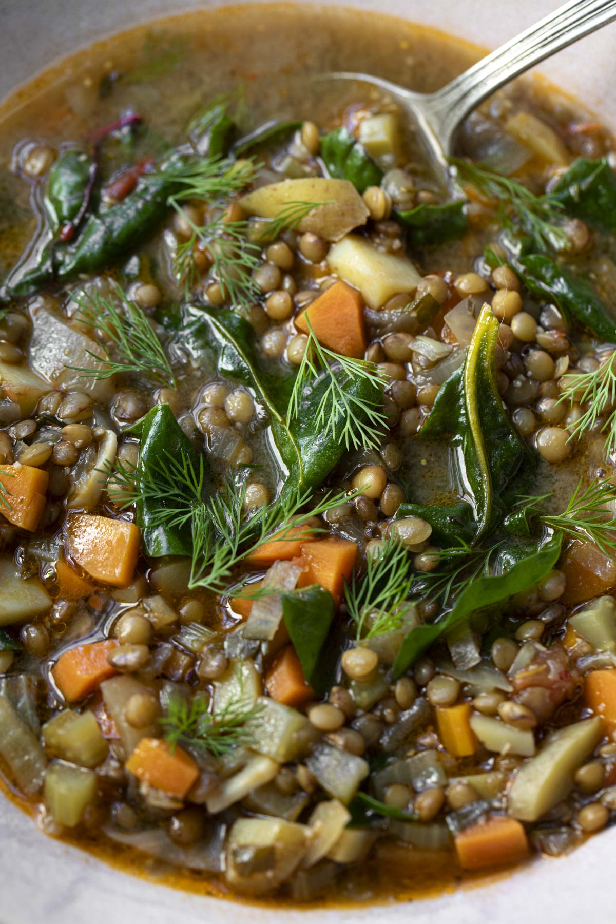Vegetable Lentil Soup - Mississippi Vegan