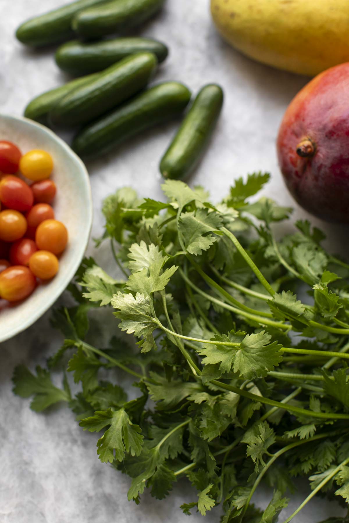 fresh ingredients spread out on a table
