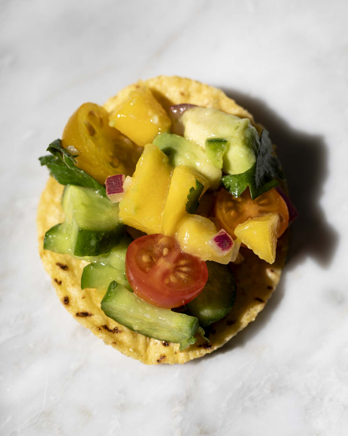 a close-up bite shot on a tortilla chip