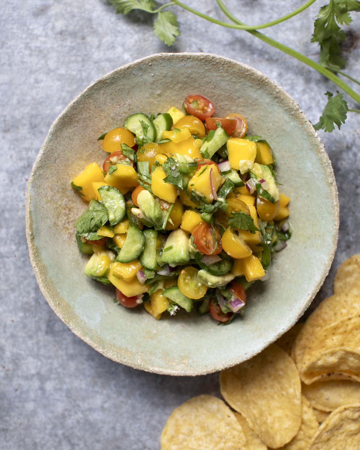 mango salsa recipe in a bowl with chips on the side