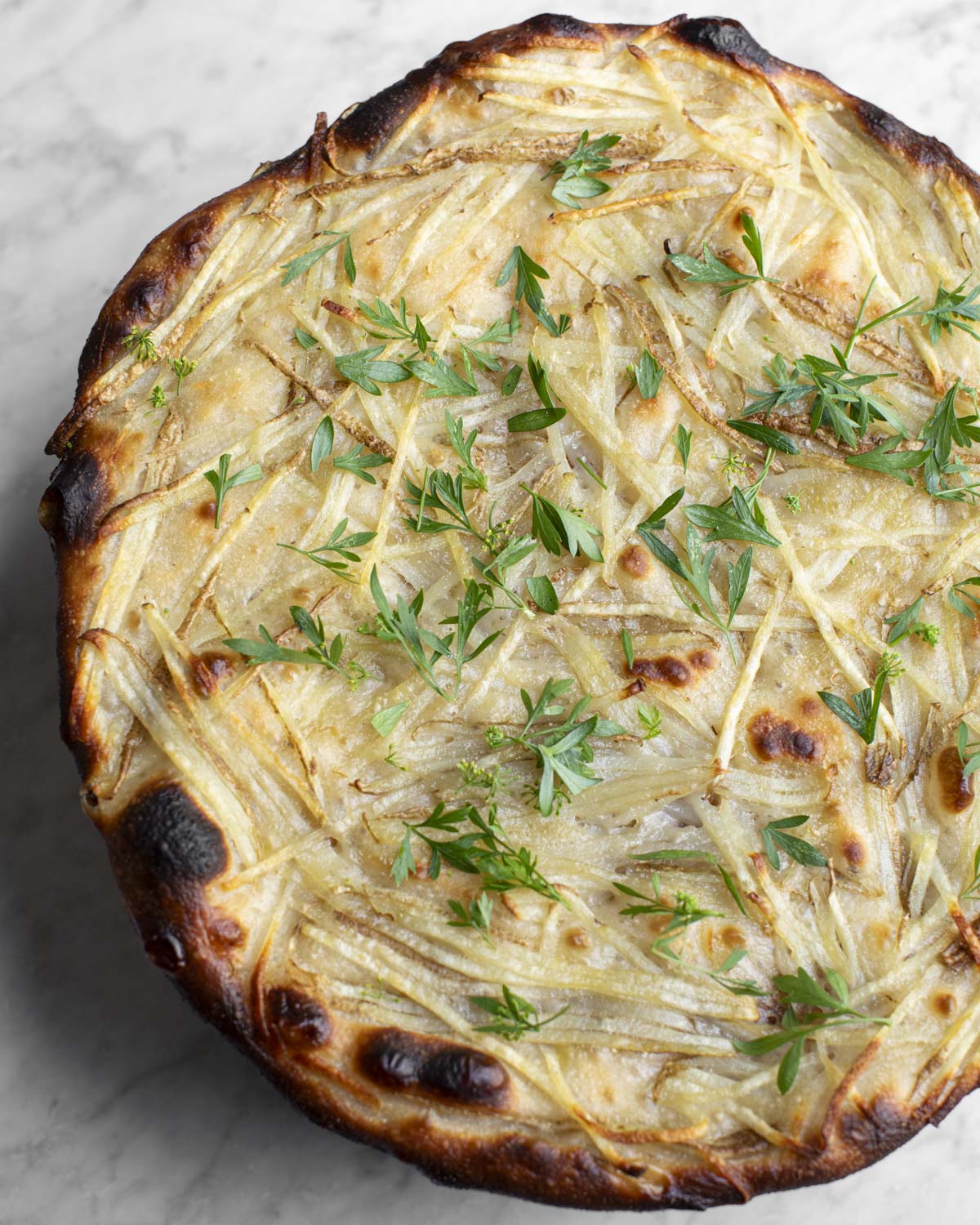 cooled focaccia genovese with parsley