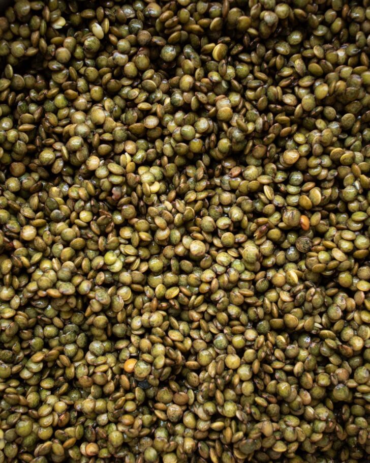 soaked French green lentils spread out