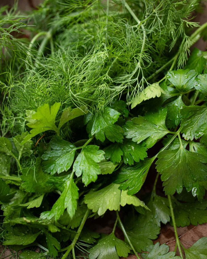 fresh herbs in a wooden bowl