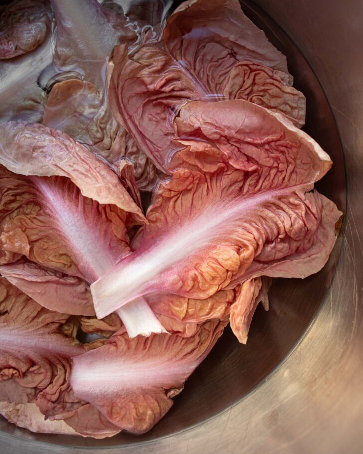 radicchio leaves soaking in water