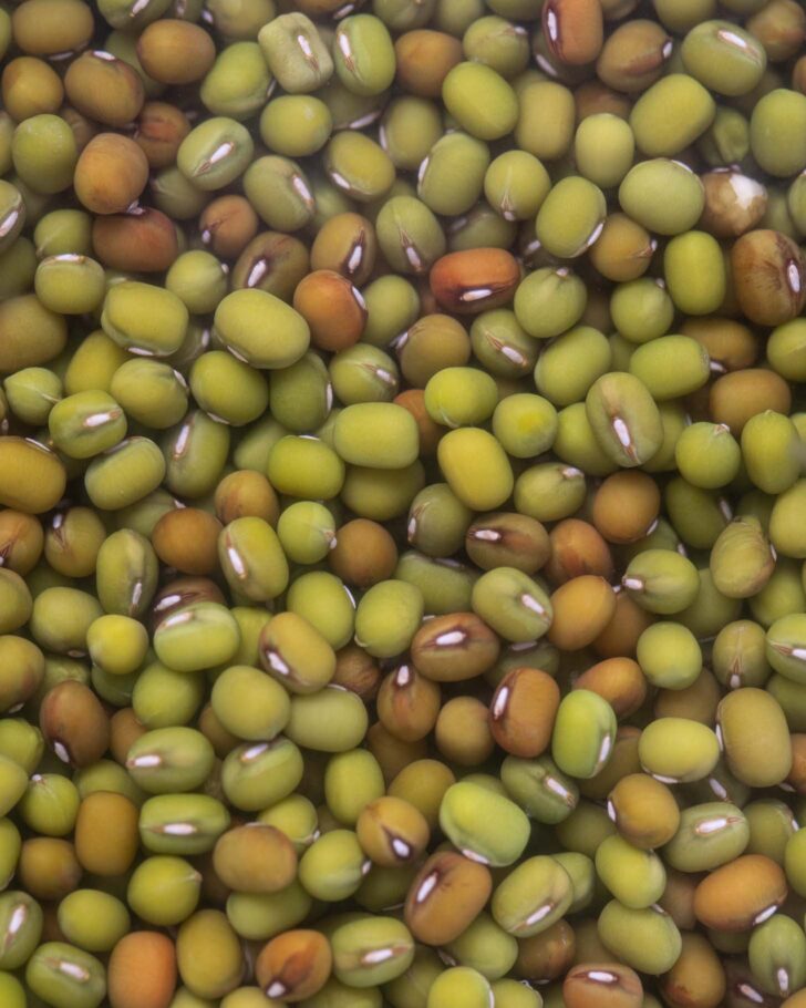 beans soaking in water