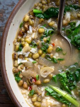 mung bean soup in a bowl with a spoon